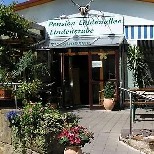 Lindenallee Guest house